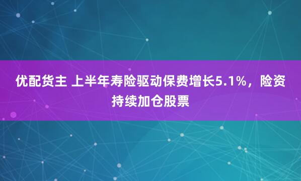 优配货主 上半年寿险驱动保费增长5.1%，险资持续加仓股票