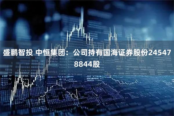 盛鹏智投 中恒集团：公司持有国海证券股份245478844股